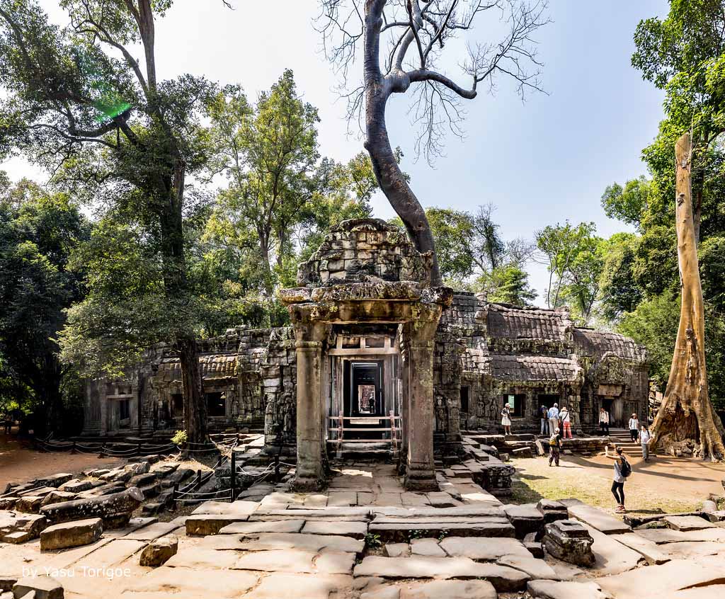 ta prohm temple House of Fire